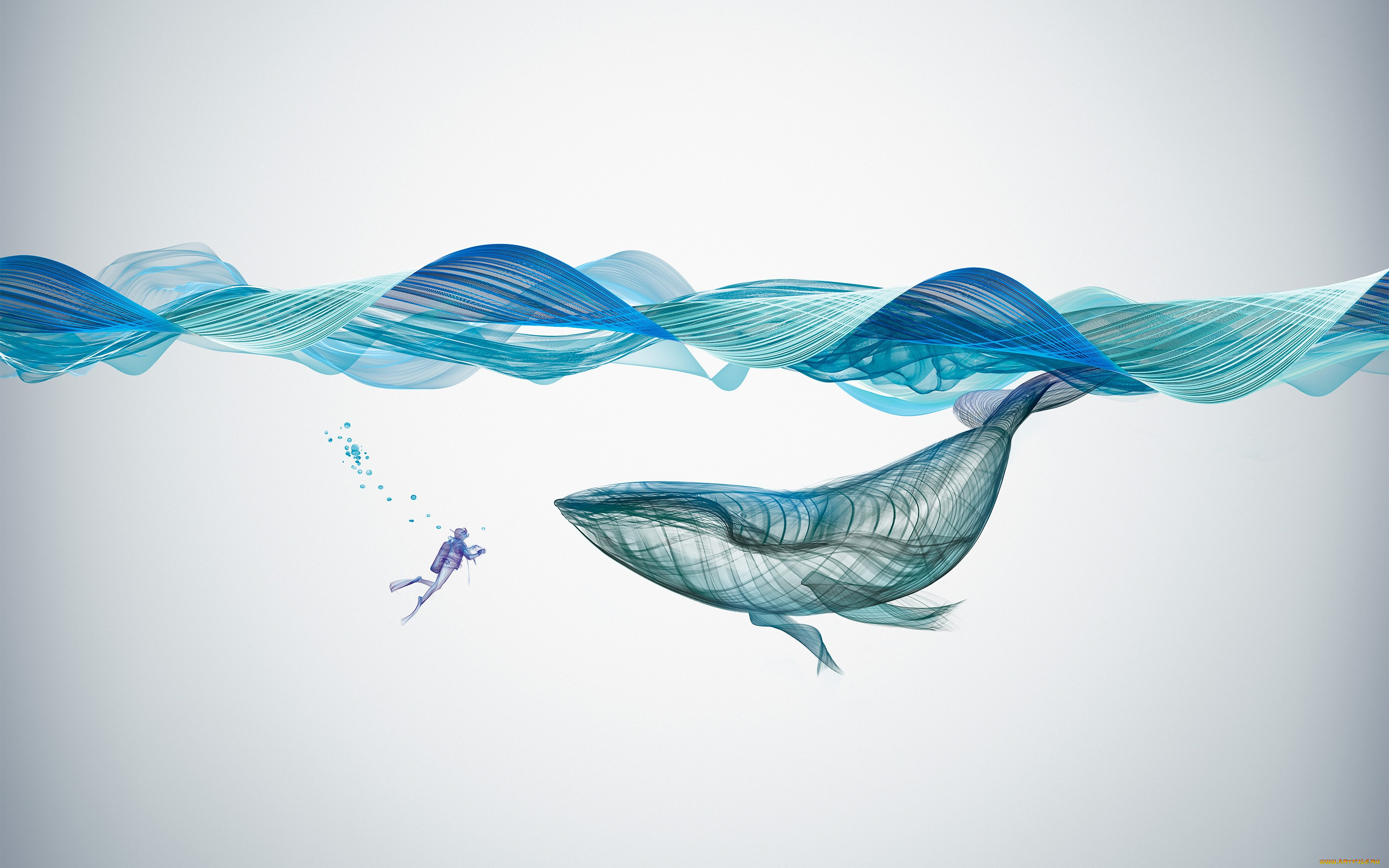  ,  , animals, illustration, creative, graphics, underwater, whale